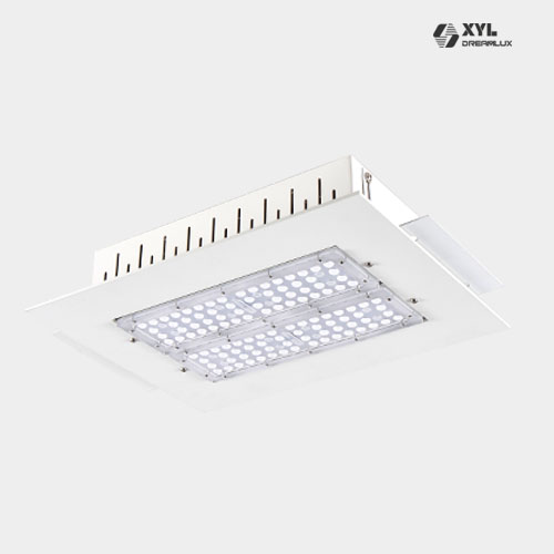 LED canopy light (DL-C100)