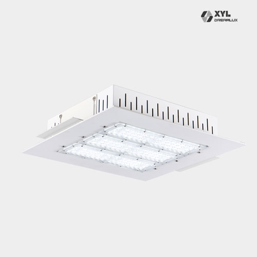 LED canopy light (DL-C150W)
