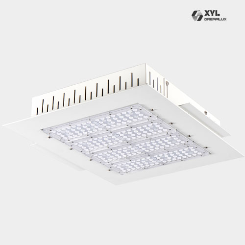 LED canopy light (DL-C200W)